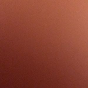 Meet your Posher, Bo